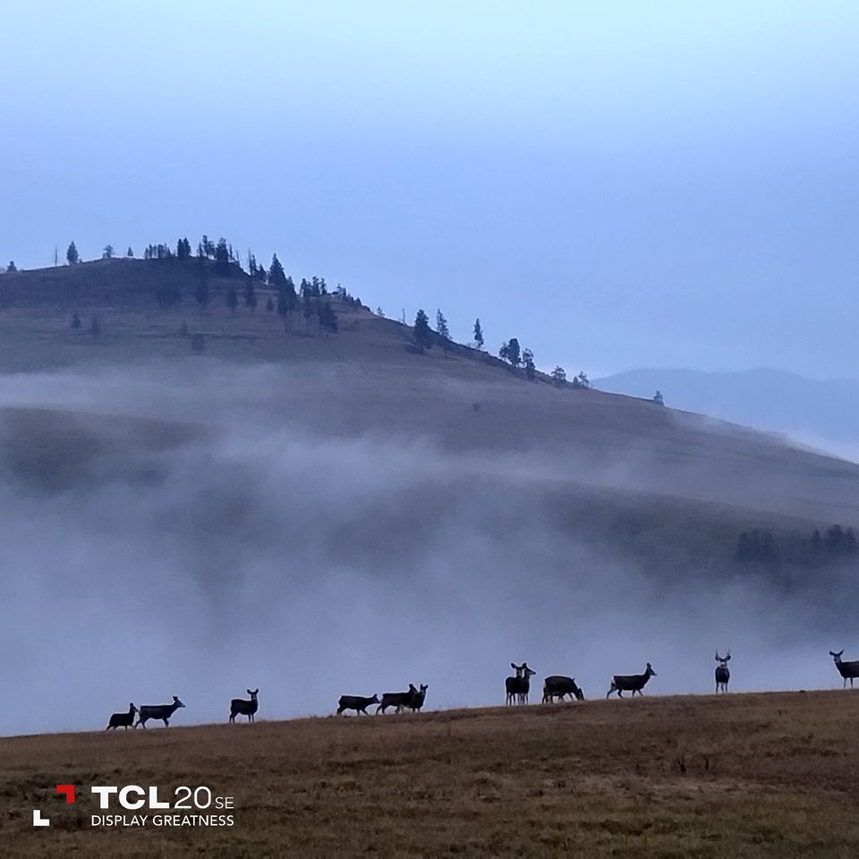 Beautiful Dome for a Romantic Glamping Escape with Breathtaking Views in Montana