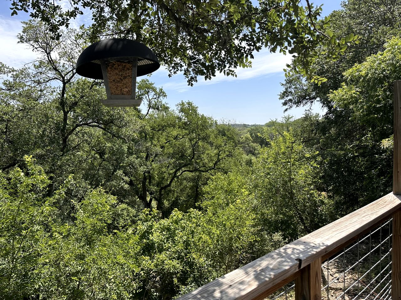 Rustic Vacation Rental Oasis near Medina River in Texas