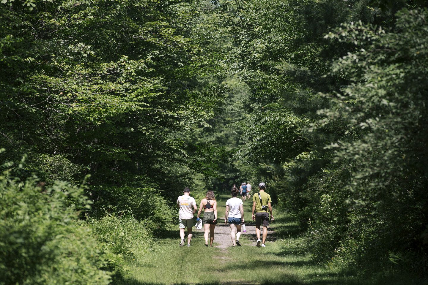 Cozy Cottage on a Private Farm Nestled Among the Southern Catskill Mountains in Woodridge, New York