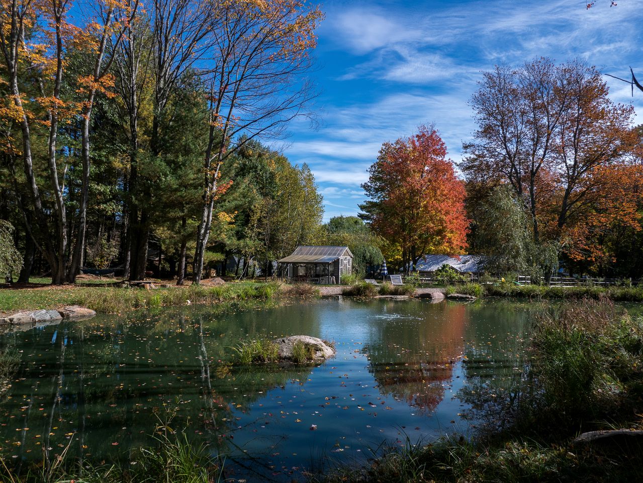 Cozy Cottage on a Private Farm Nestled Among the Southern Catskill Mountains in Woodridge, New York