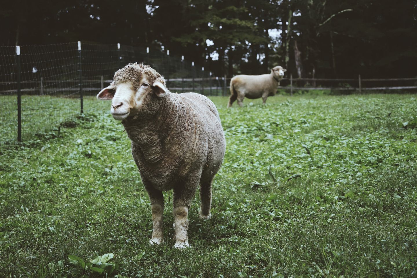 Cute Vacation Rental Unit near Sam's Point for an Unforgettable Family Getaway in Woodridge, New York