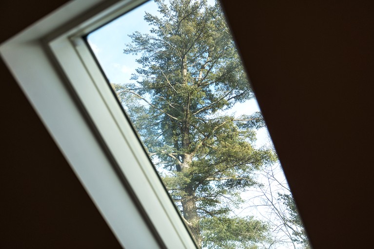 Vacation Rentals (United States of America, Woodridge, New York)