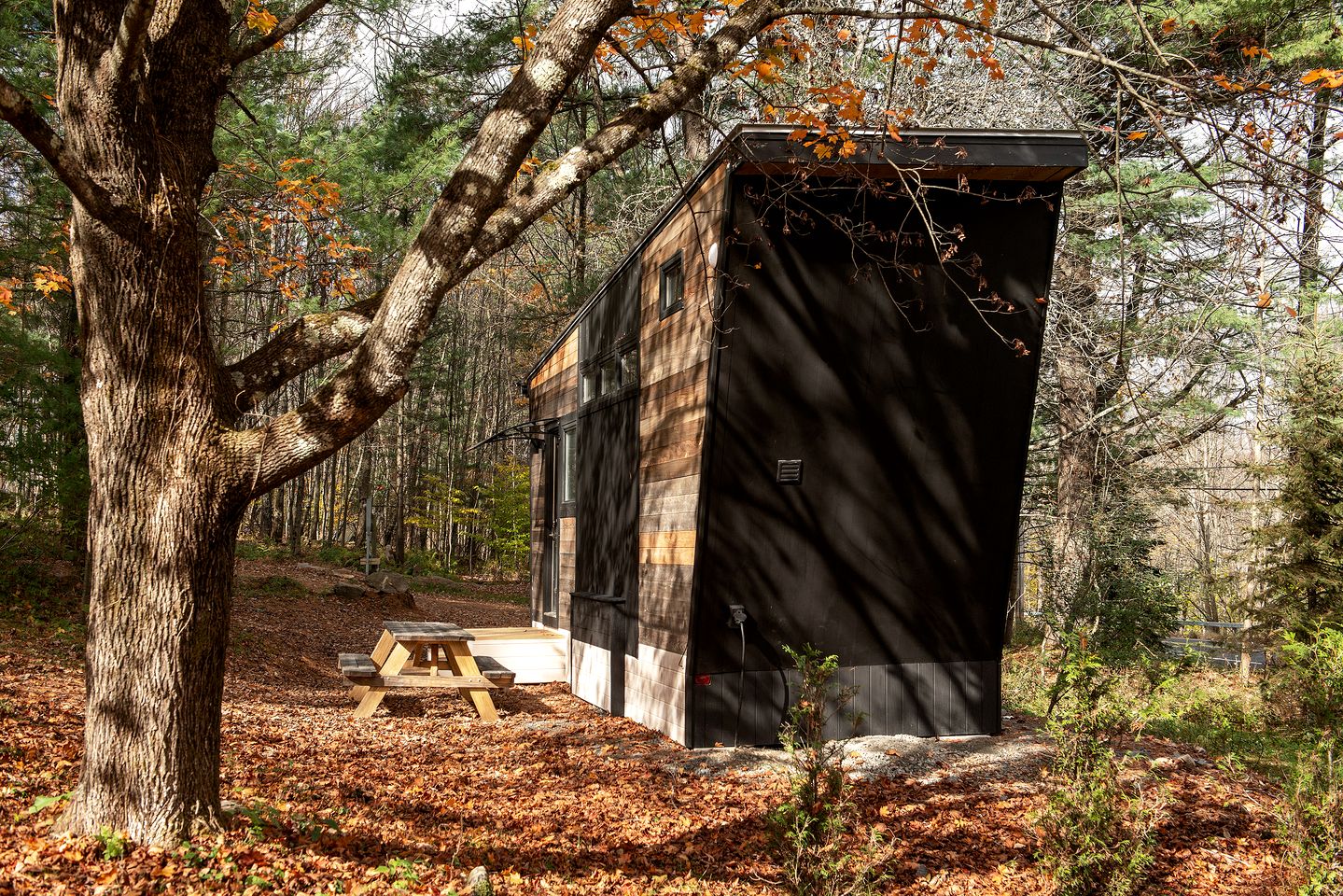 Modern Tiny House Surrounded by Nature near the Catskill Park for a Unique Glamping Experience in Woodridge, New York