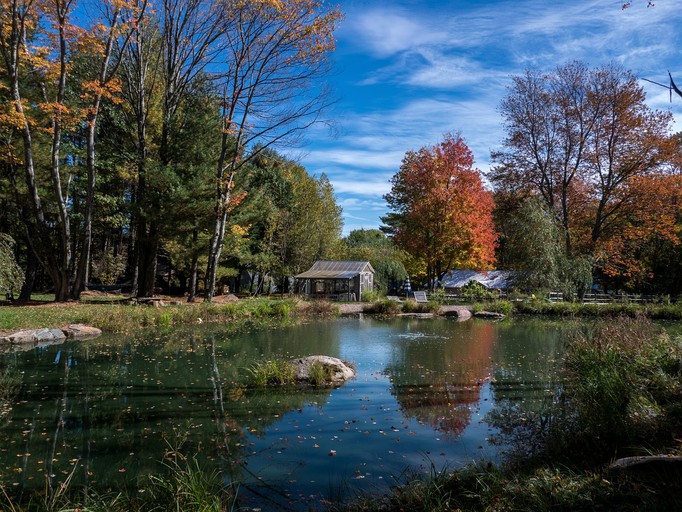 Tiny Houses (United States of America, Woodridge, New York)