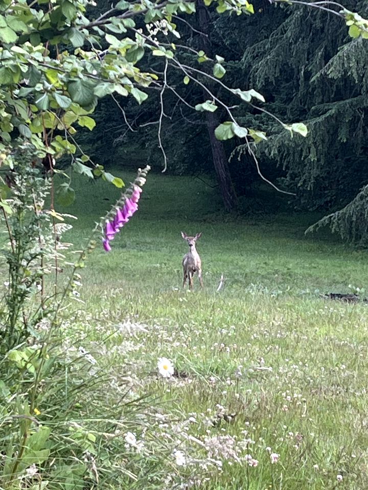 Peaceful Hand-Painted Tipi with Outdoor Kitchen near Columbia River Gorge, Oregon