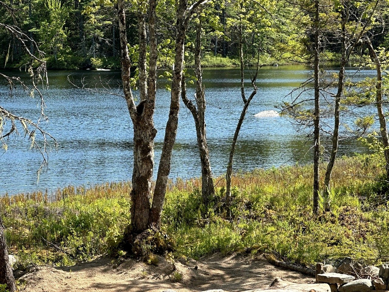 Beautiful Safari Tent with Incredible Views for a Romantic Glamping Getaway near Milford, Nova Scotia