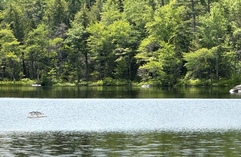 Safari Tents (Canada, --, Nova Scotia)