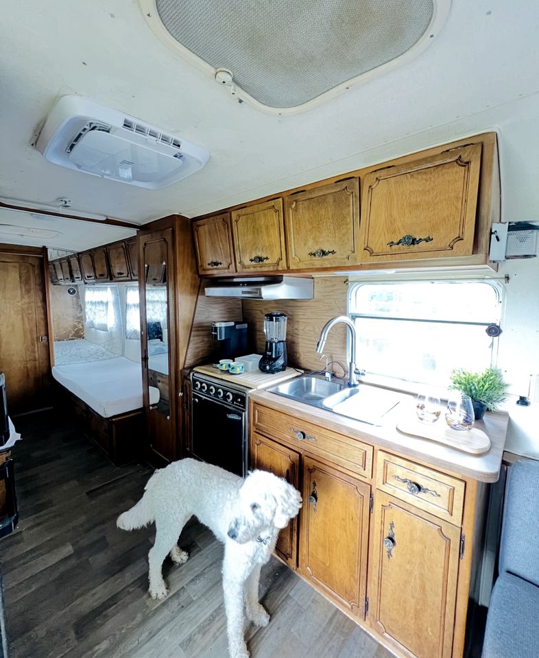 Cute Vintage Caravan for a Peaceful Escape in Niwot, Colorado