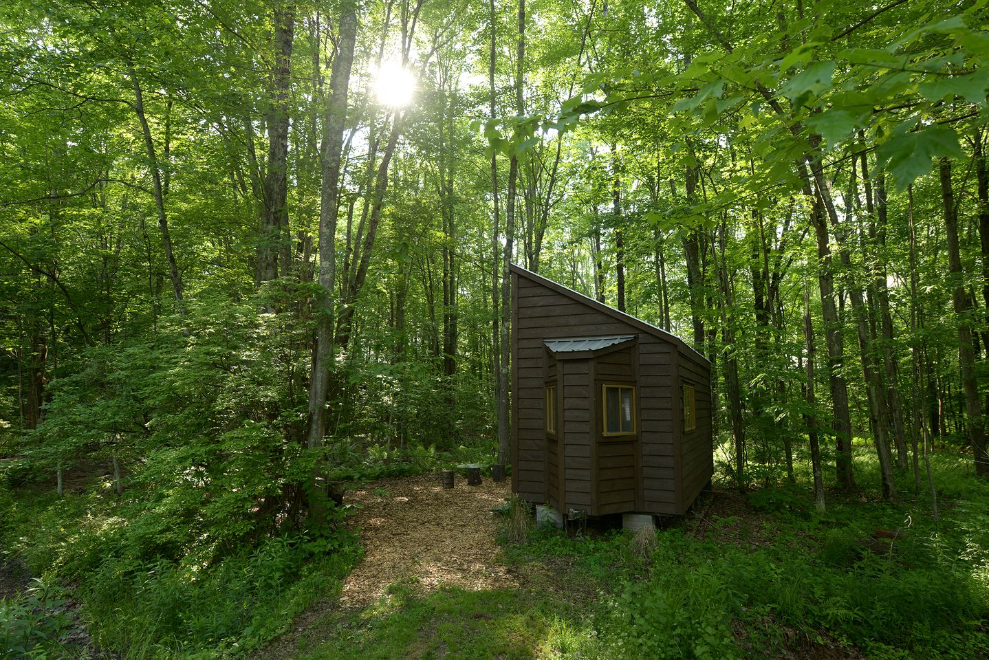 Beautiful Wooden Tiny House Nestled in the Trees on a Private Farm for a Peaceful Romantic Getaway in Woodridge, New York