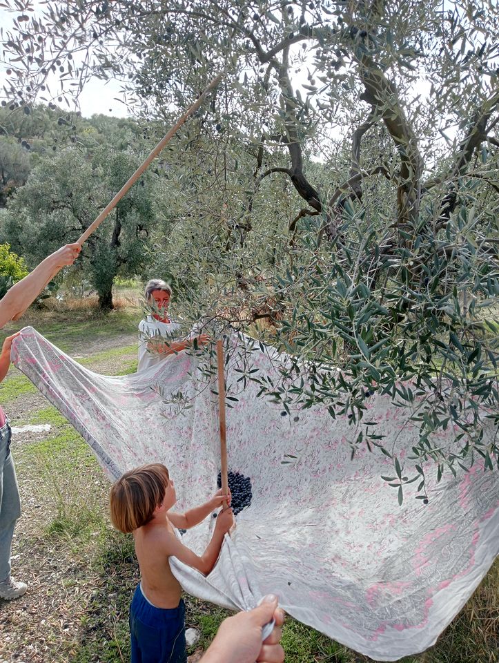 Beautiful Cozy Bell Tent with Fantastic Amenities for a Peaceful Getaway in Nature near Bisceglie, Italy