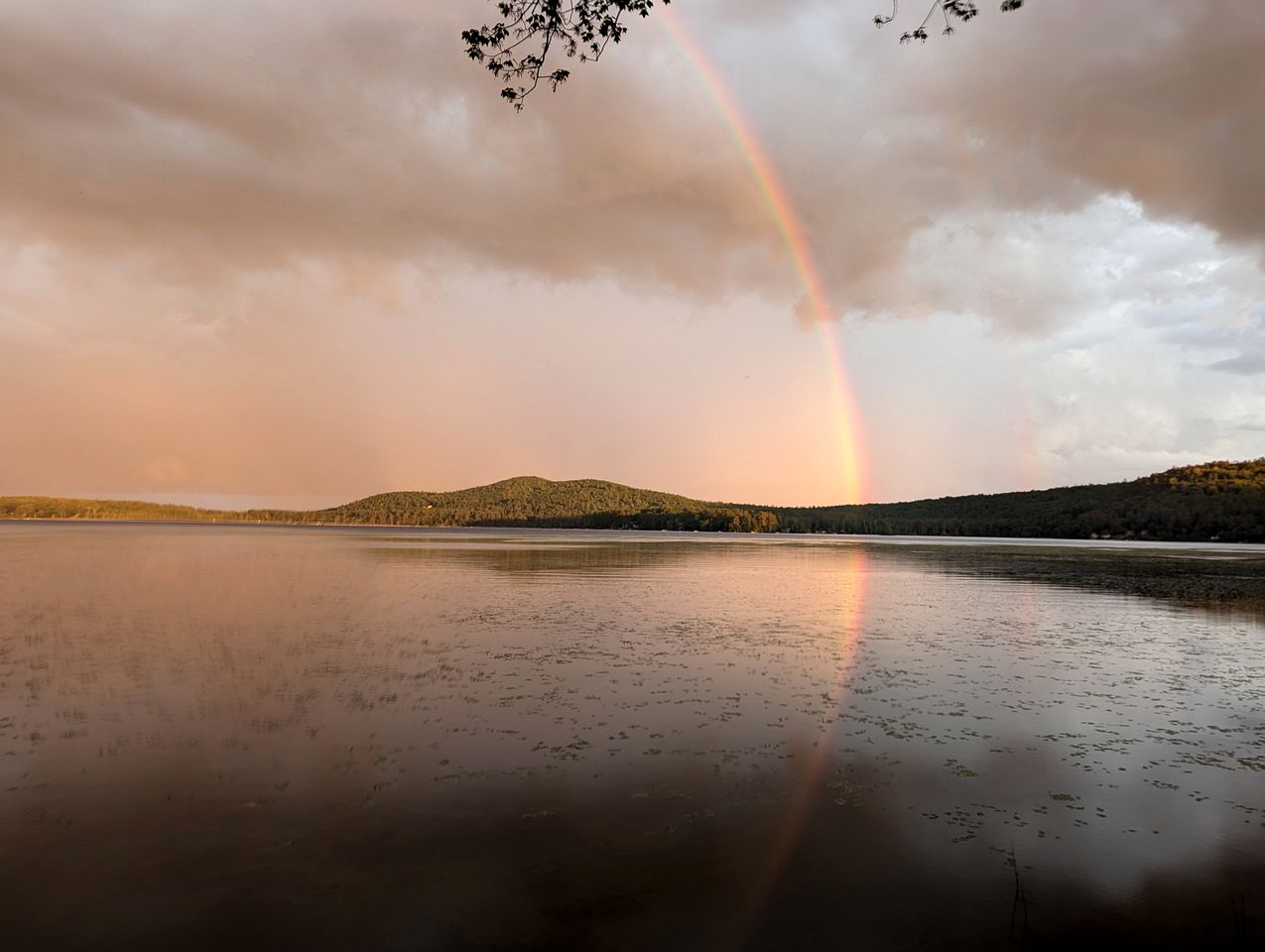 Quaint Lakeside Cabin for a Peaceful Family Getaway Surrounded by Nature by Province Lake in New Hampshire