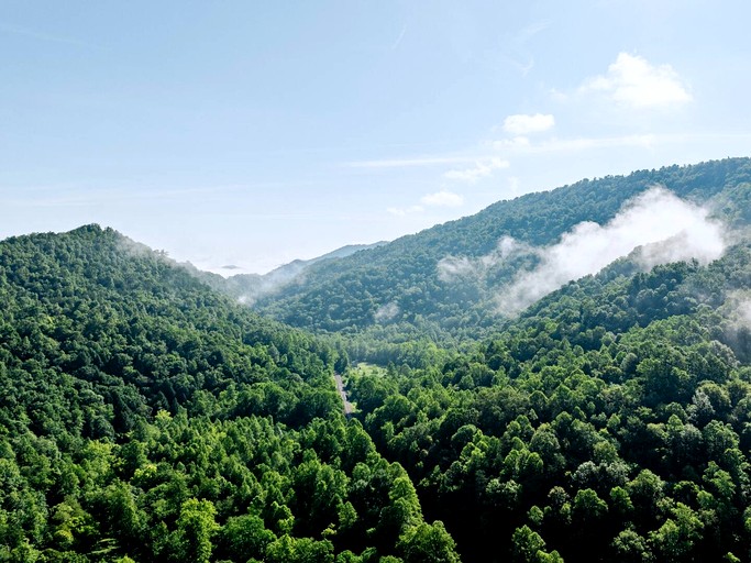 Safari Tents (United States of America, --, Tennessee)