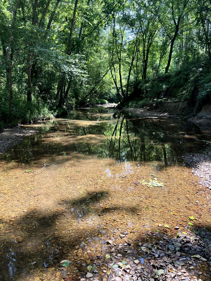 Charming Creekside Luxury Tent with Sunset Views near Goodwin Creek, Mississippi