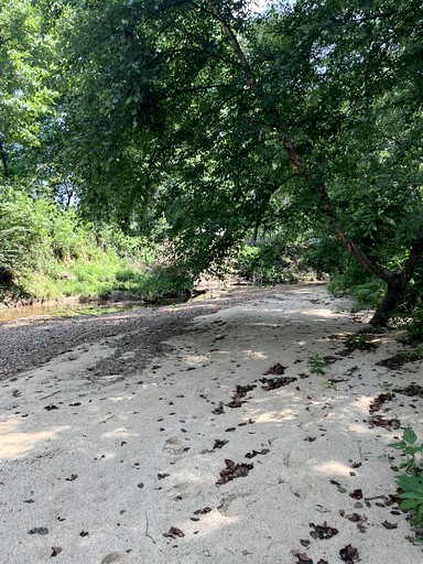 Bell Tents (United States of America, Batesville, Mississippi)