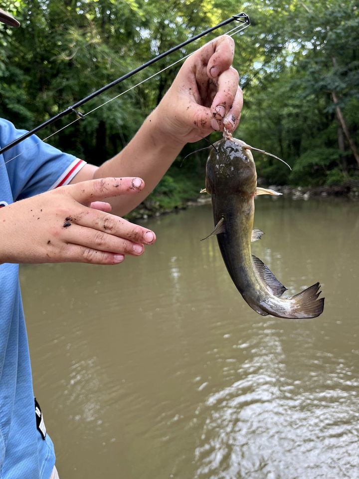 Charming Creekside Luxury Tent with Sunset Views near Goodwin Creek, Mississippi