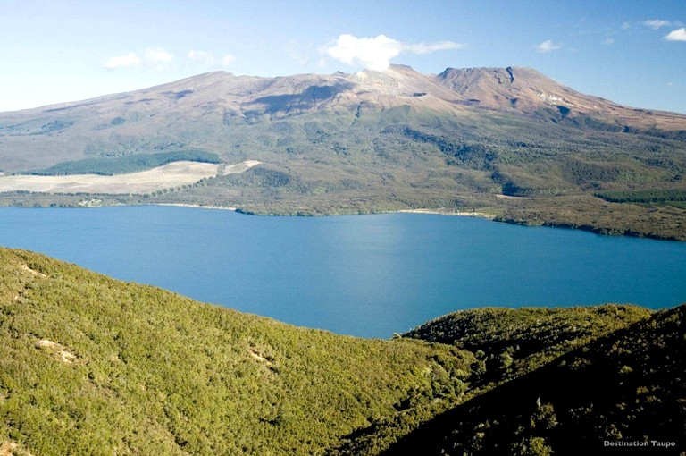 Vacation Rentals (New Zealand, Horopito, North Island)