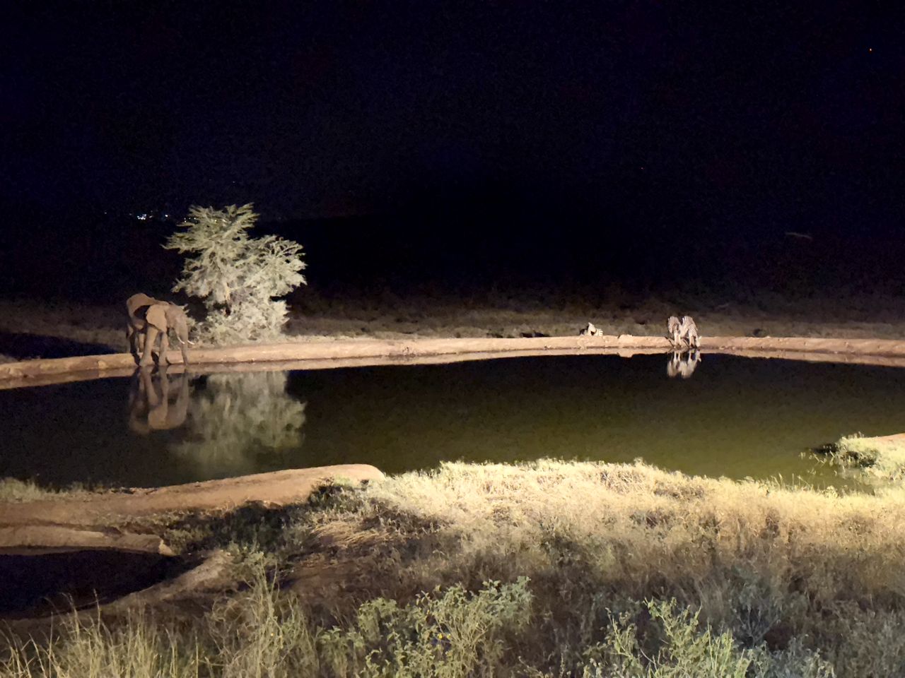 Secluded Luxury Glamping Camp with Safari-Style Dining near South Rim Grand Canyon, Arizona