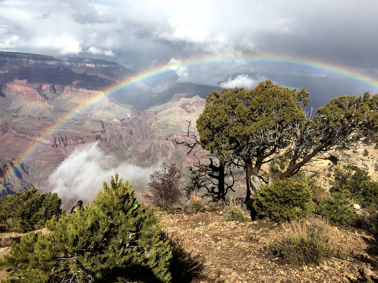 Secluded Luxury Glamping Camp with Safari-Style Dining near South Rim Grand Canyon, Arizona