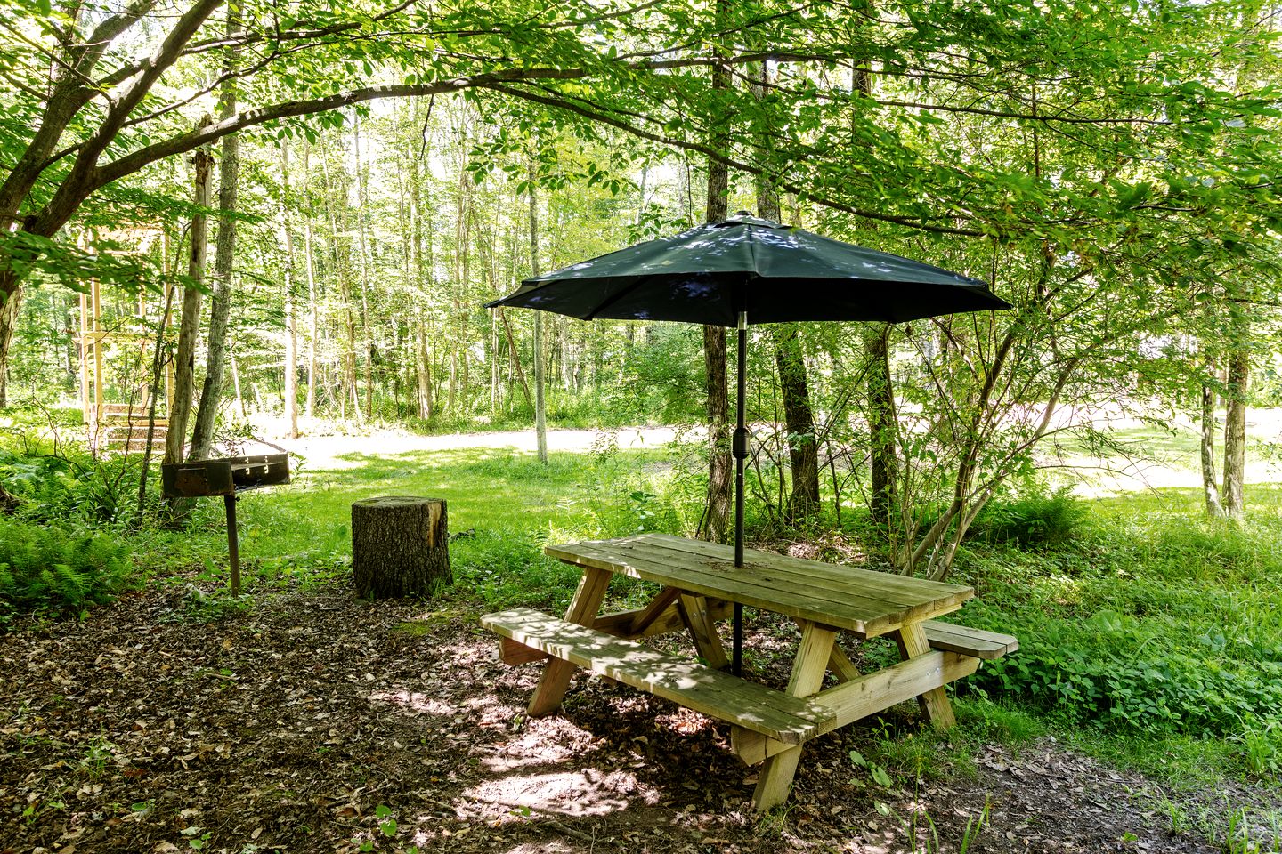 Incredible Spacious Dome for A Group Glamping Experience Surrounded by Nature in Woodridge, New York