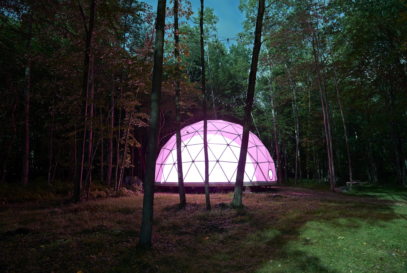 Incredible Spacious Dome for A Group Glamping Experience Surrounded by Nature in Woodridge, New York