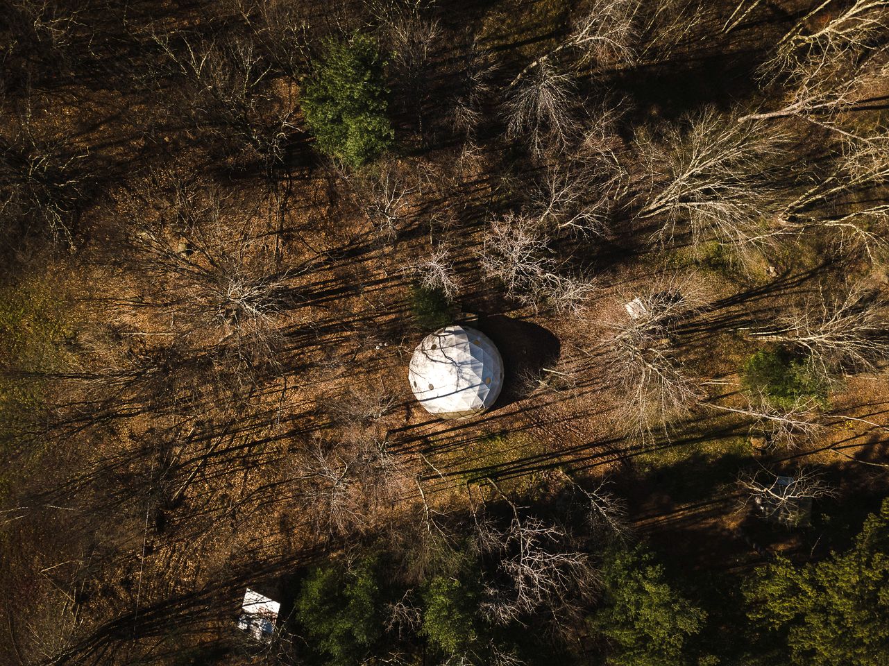 Incredible Spacious Dome for A Group Glamping Experience Surrounded by Nature in Woodridge, New York
