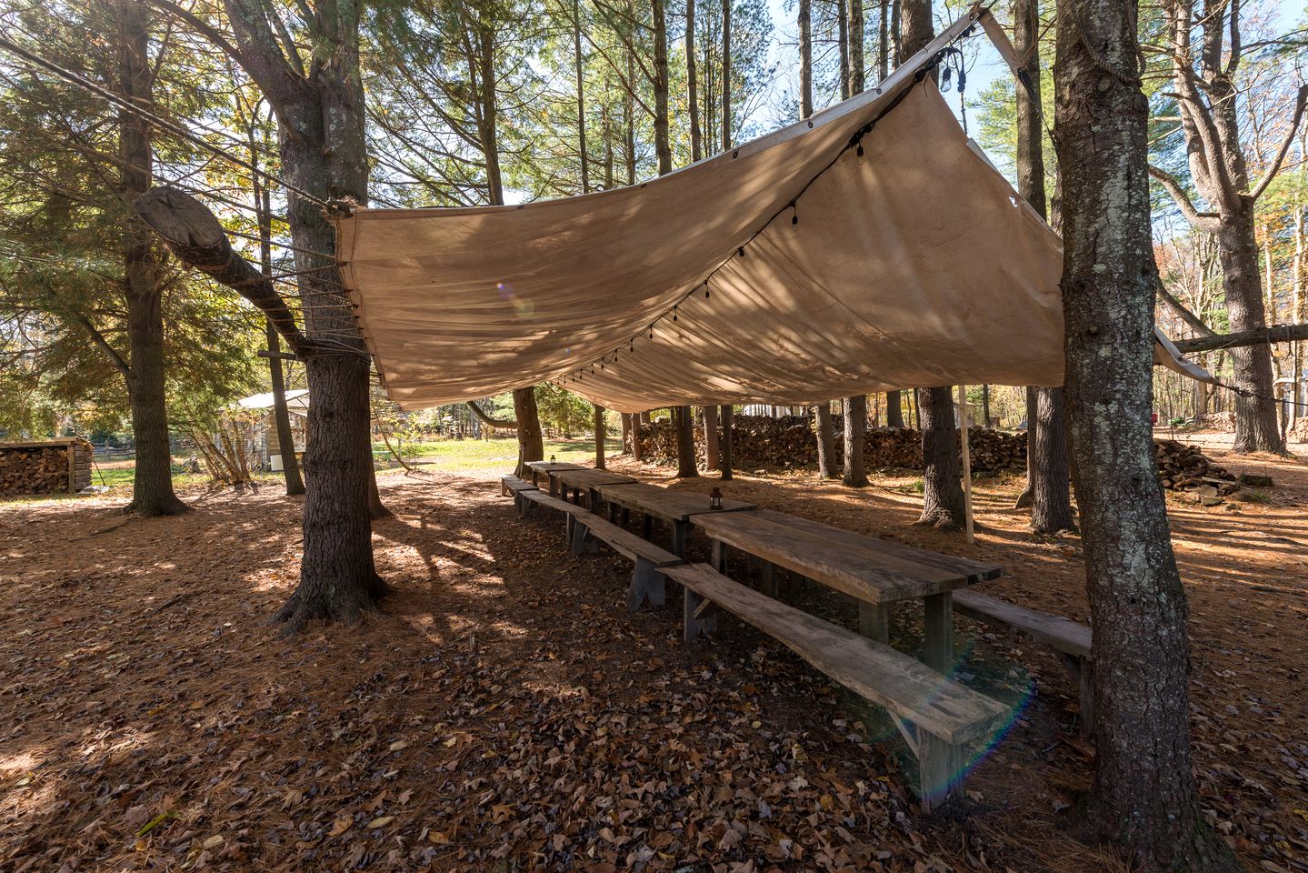 Incredible Spacious Dome for A Group Glamping Experience Surrounded by Nature in Woodridge, New York