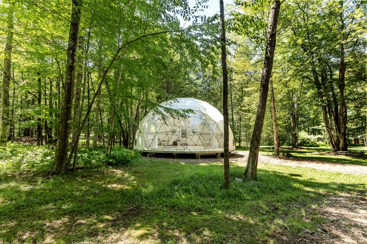 Incredible Spacious Dome for A Group Glamping Experience Surrounded by Nature in Woodridge, New York
