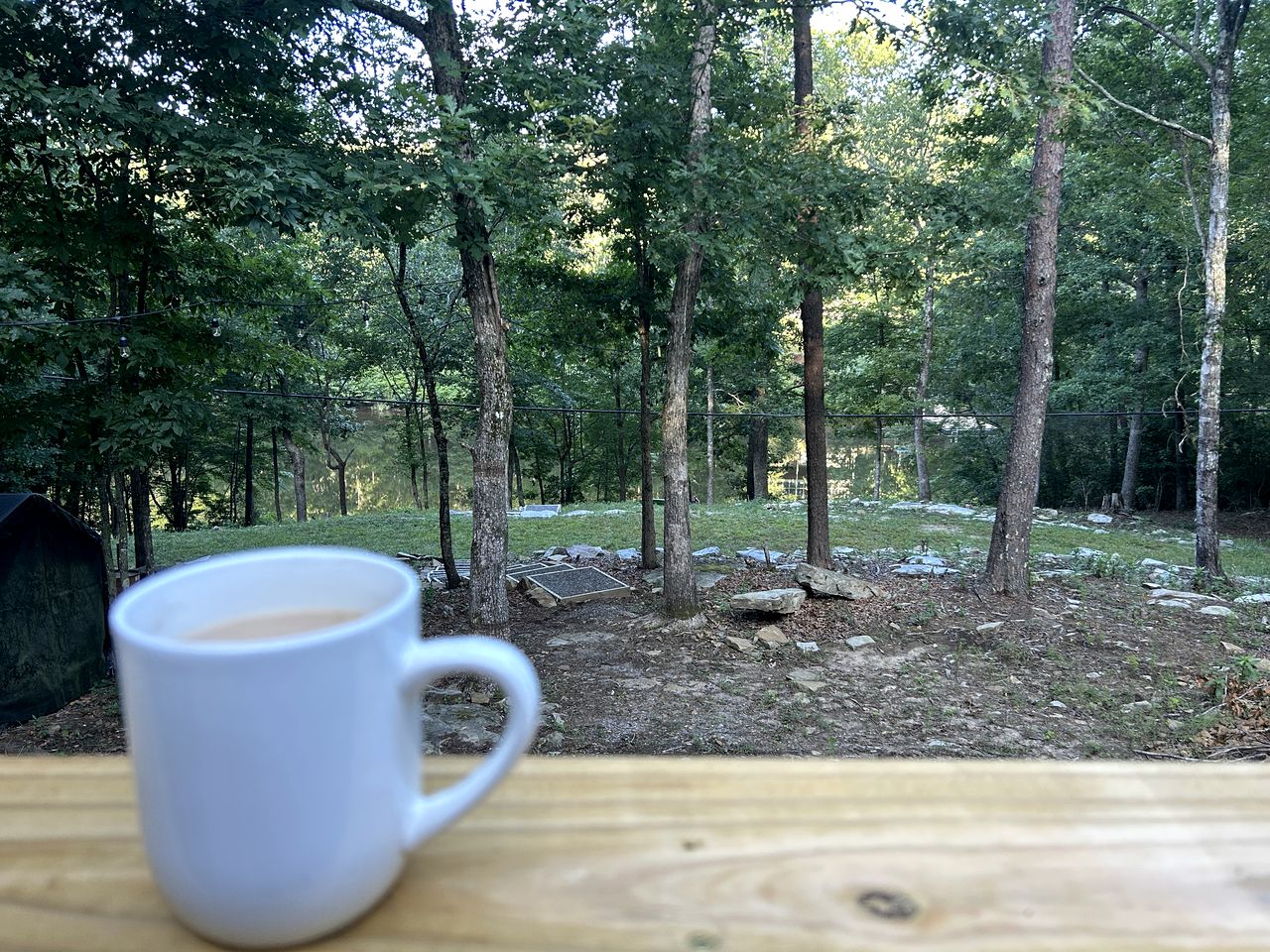 Serene Lakeside Caravan Retreat on Lake Lahusage near Lookout Mountain Alabama