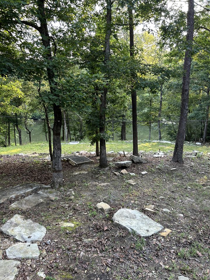 Serene Lakeside Caravan Retreat on Lake Lahusage near Lookout Mountain Alabama