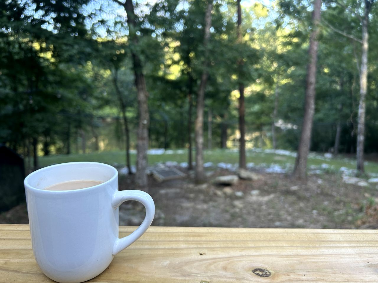 Serene Lakeside Caravan Retreat on Lake Lahusage near Lookout Mountain Alabama