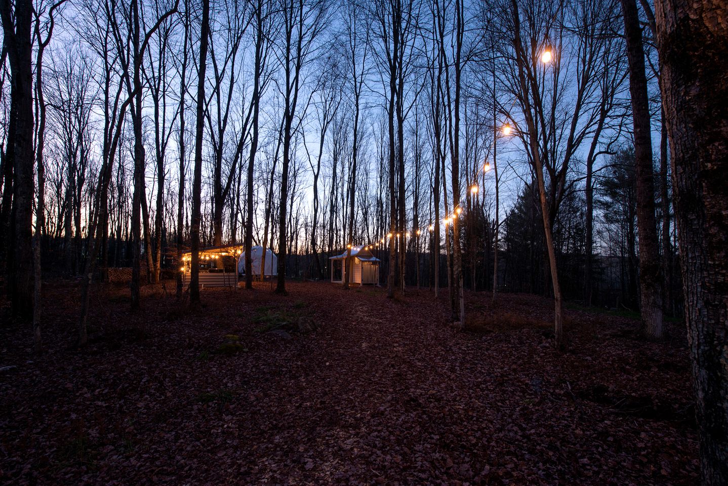 Spacious Full-Property Rental with Multiple Units for Large Group Getaways Surrounded by Nature in Woodridge, New York