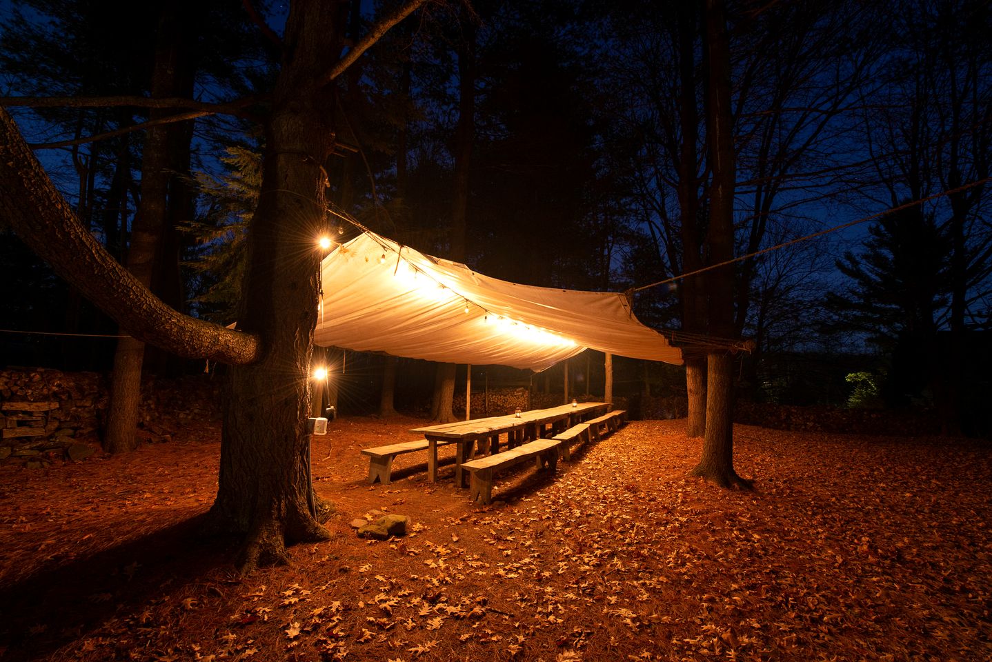 Spacious Full-Property Rental with Multiple Units for Large Group Getaways Surrounded by Nature in Woodridge, New York