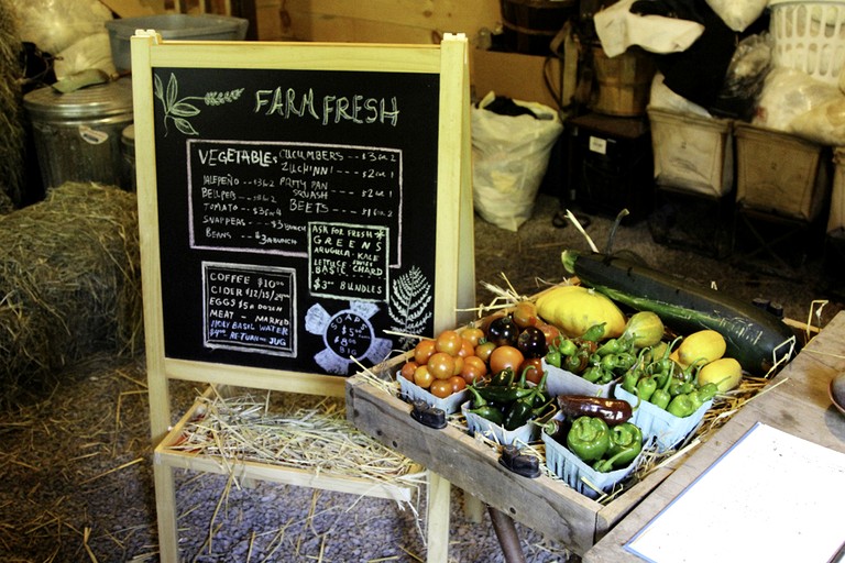 Vacation Rentals (United States of America, Woodridge, New York)