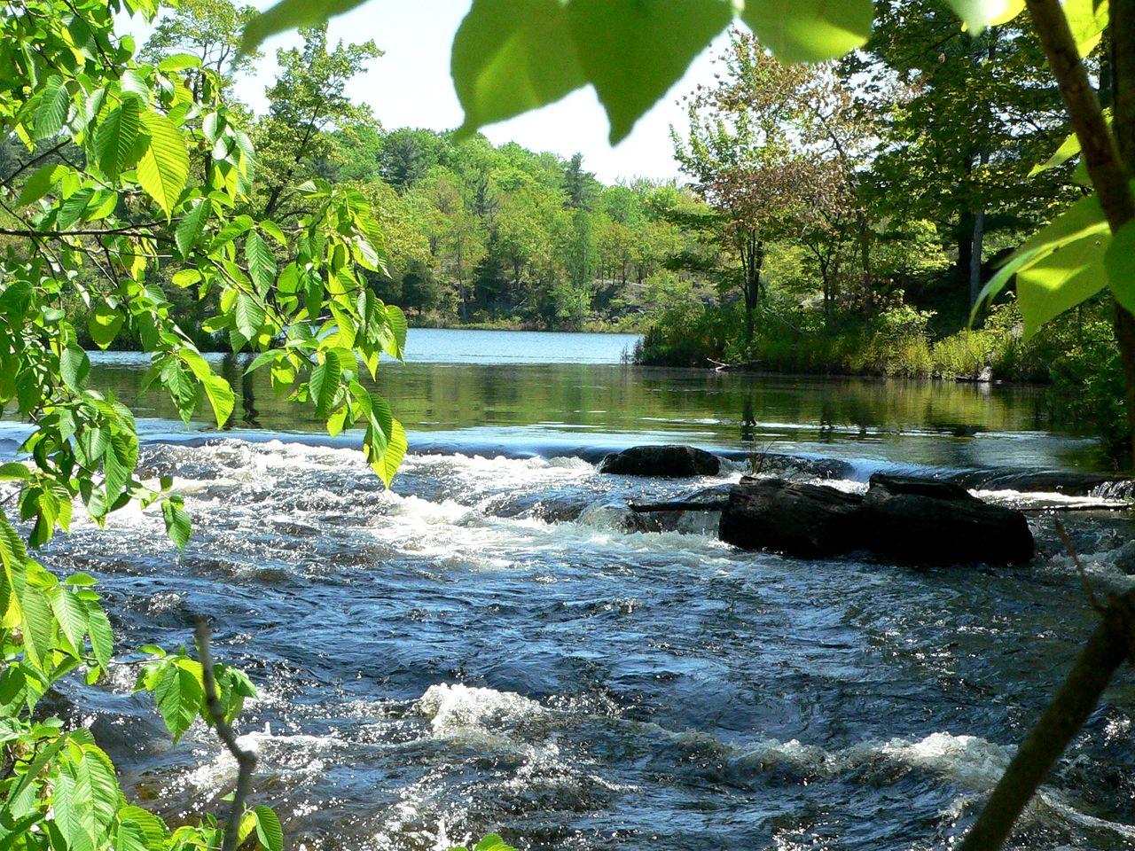 Rustic Waterfront Yurt on the Salmon River for a Peaceful Glamping Escape near Tamworth, Ontario