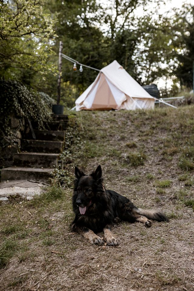 Romantic Secluded Bell Tent for an Amazing Couples Escape in Nature near Prague, Czech Republic