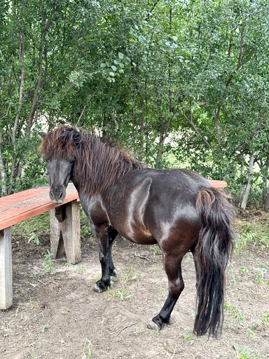 Cabins (United States of America, Fredericksburg, Texas)