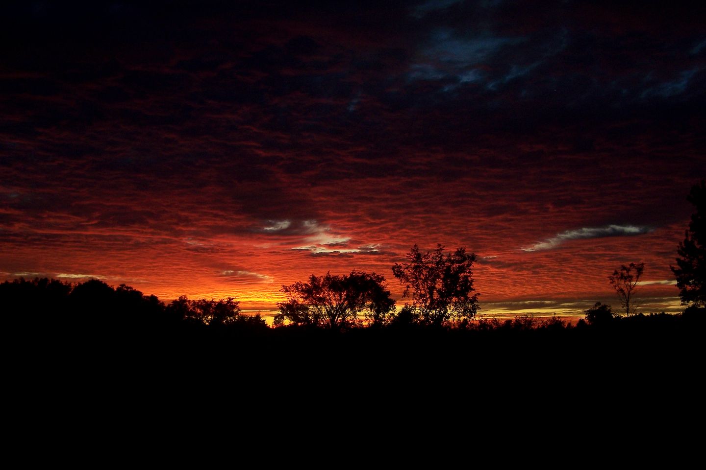 Cozy Suite Rental in a B&B with Games Room Surrounded by Nature in Niagara Falls, Ontario