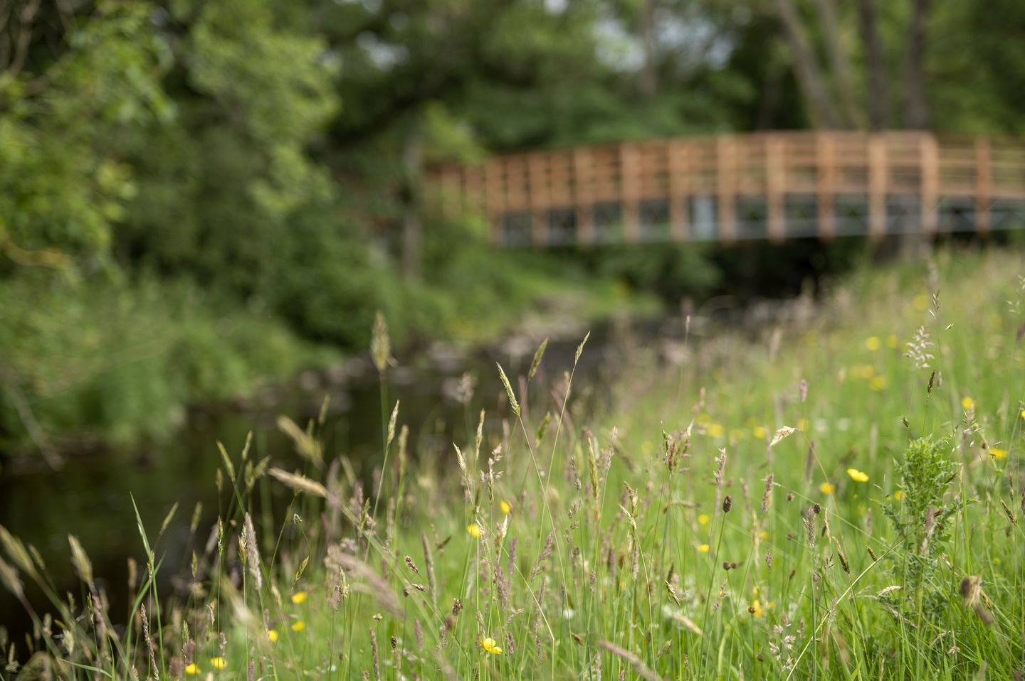 Cozy Unique Cabin-Caravan Hybrid Surrounded by Nature for a Peaceful Glamping Getaway near Lauder, Scotland