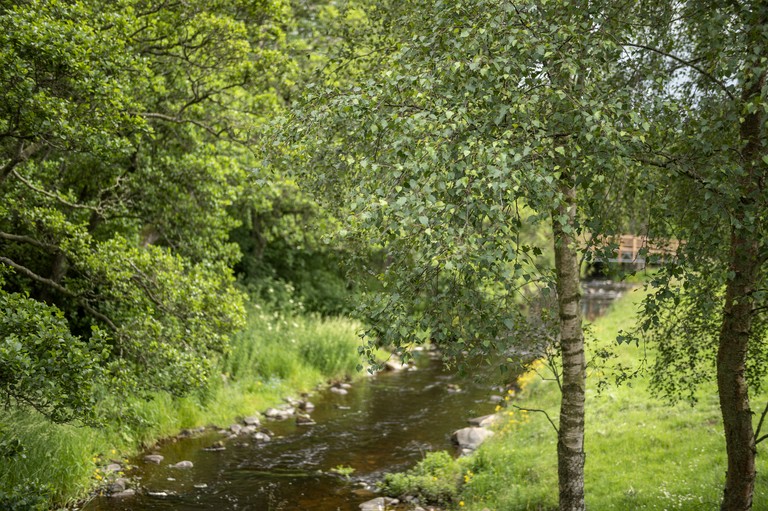 Cabins (United Kingdom, --, Scotland)