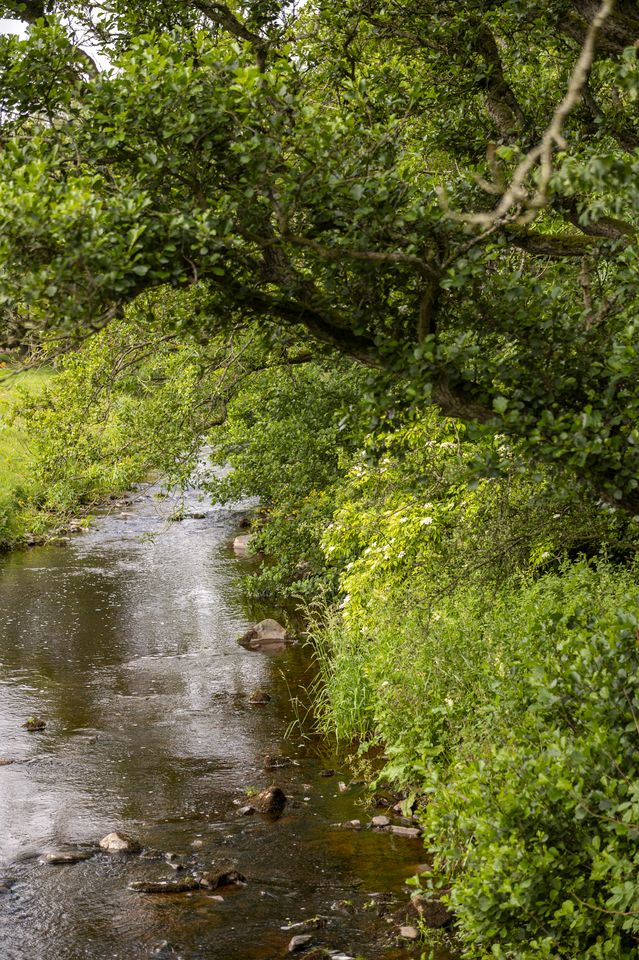 Cozy Unique Cabin-Caravan Hybrid Surrounded by Nature for a Peaceful Glamping Getaway near Lauder, Scotland