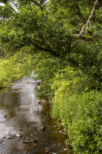 Cabins (United Kingdom, --, Scotland)