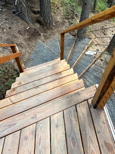 Tree Houses (United States of America, Moscow, Idaho)