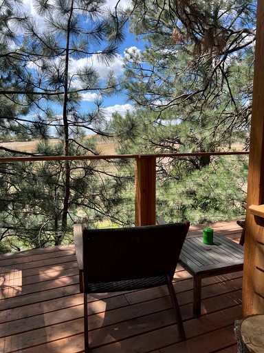 Tree Houses (United States of America, Moscow, Idaho)