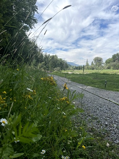 Bell Tents (United States of America, Sandpoint, Idaho)