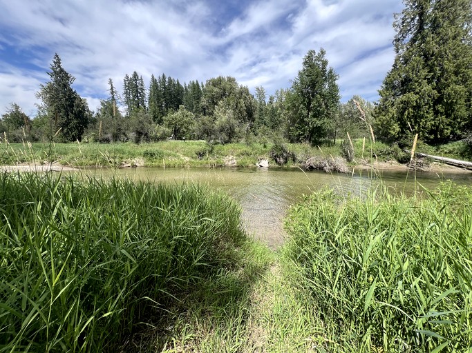 Bell Tents (United States of America, Sandpoint, Idaho)