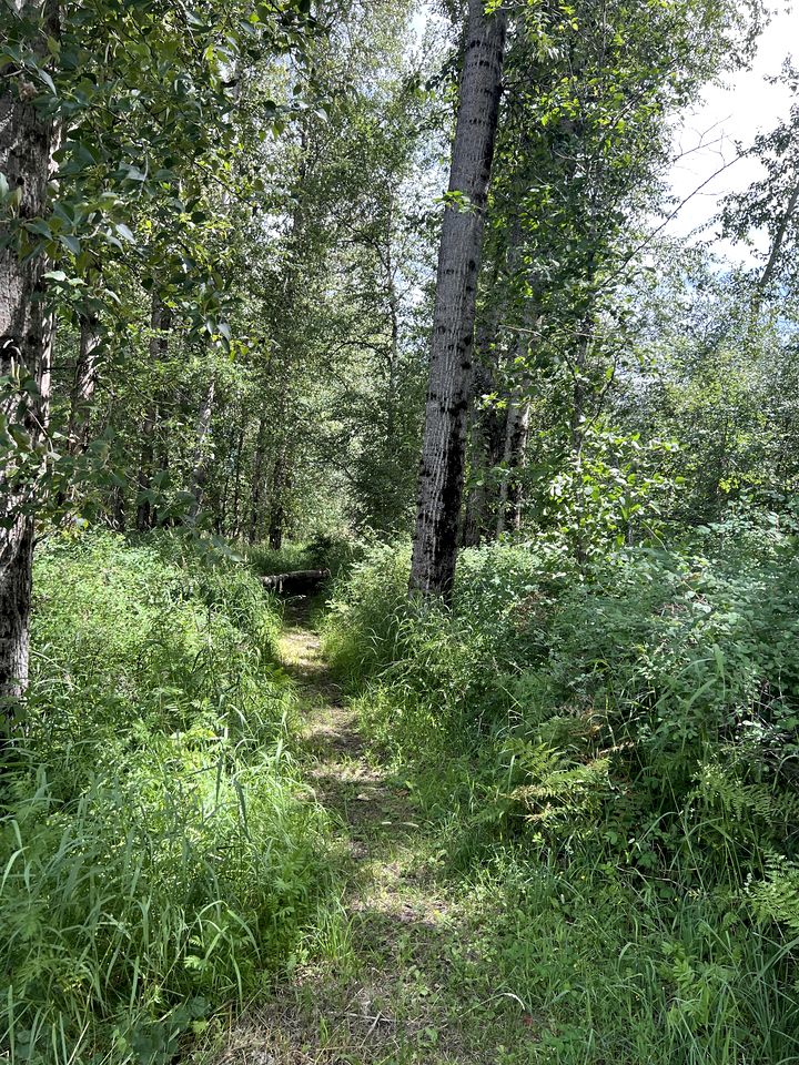 Romantic Luxury Glamping Tent with Riverfront Views near Sandpoint, Idaho