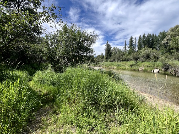 Bell Tents (United States of America, Sandpoint, Idaho)