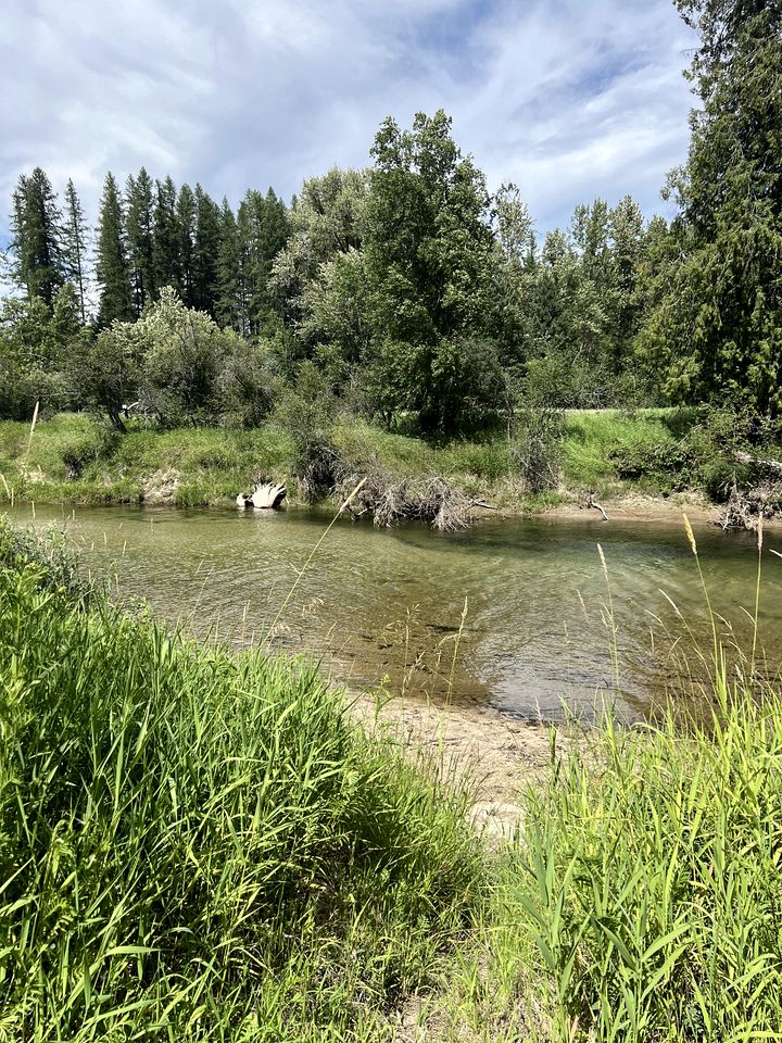 Romantic Luxury Glamping Tent with Riverfront Views near Sandpoint, Idaho