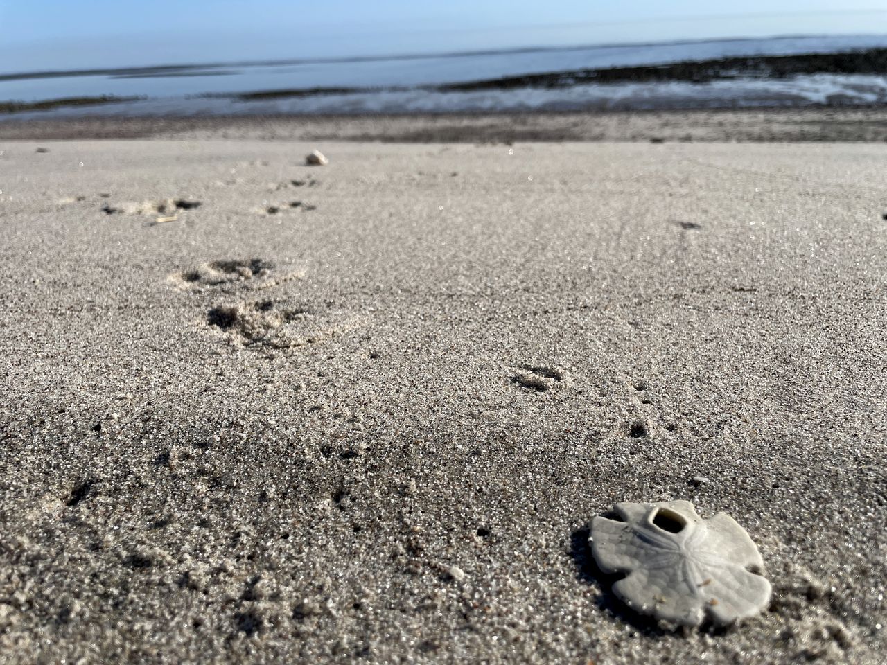 Unplug and Unwind at a Rustic Coastal Retreat in Baja California, Mexico