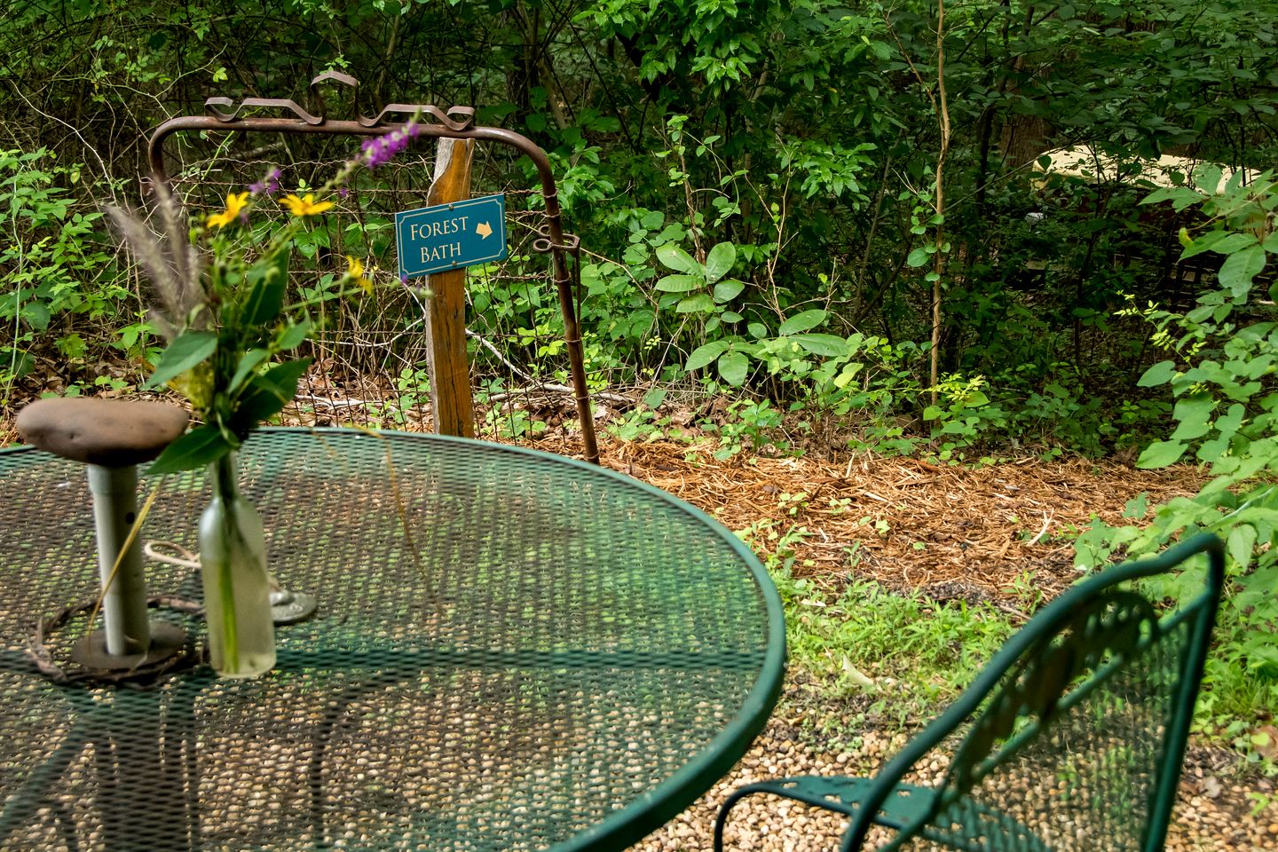 Cozy Ground Floor Suite in a Beautiful Farmhouse for a Unique Getaway in Afton, Virginia